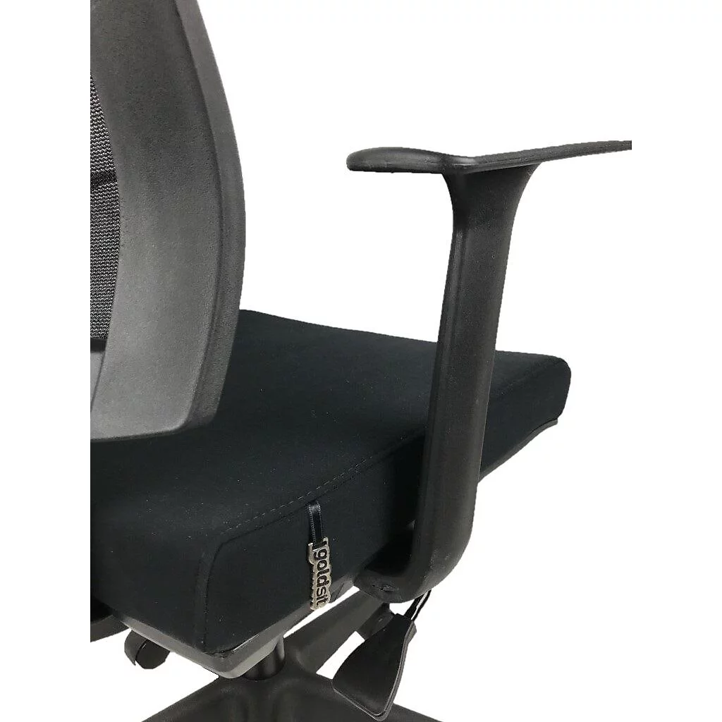 Goldsit Reks One 100 P Çalışma Koltuğu